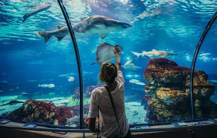 Hurghada Aquarium