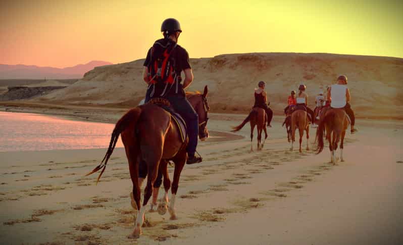 Horseback riding in the desert