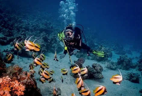 Private diving near the Red Sea coast