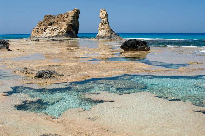 The Western desert and the oases of Egypt (7 days)