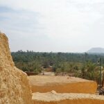 Gallery Thumbnail 2